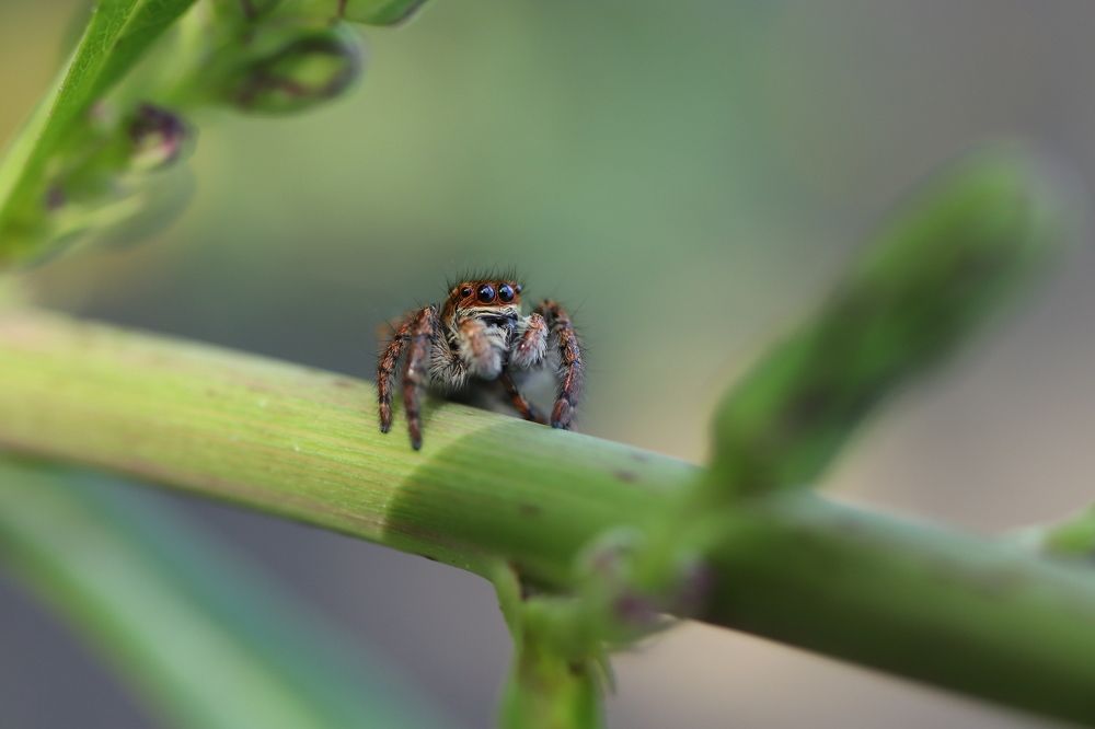 Photograph by Se Lena