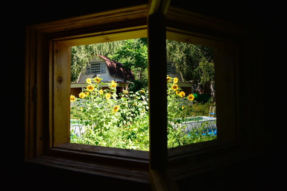 Photograph by Римма Большакова