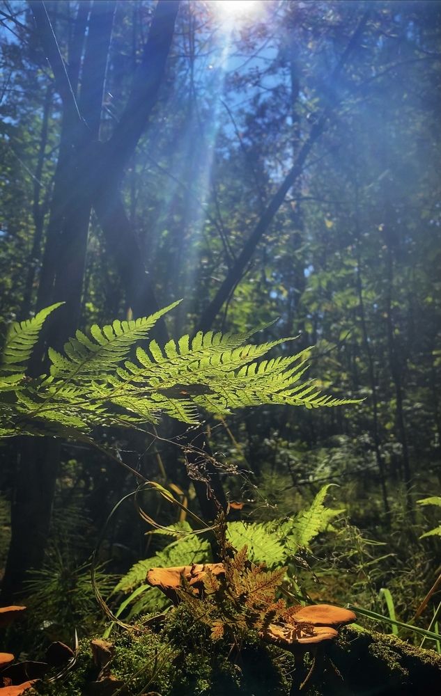 Photograph by Наталья