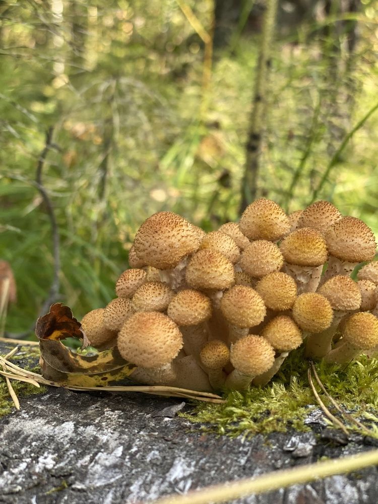 Photograph by Наталья