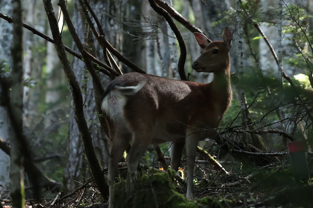 Photograph by Se Lena