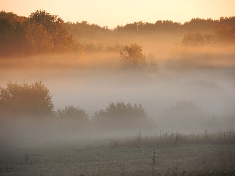 Photograph by Римма Большакова