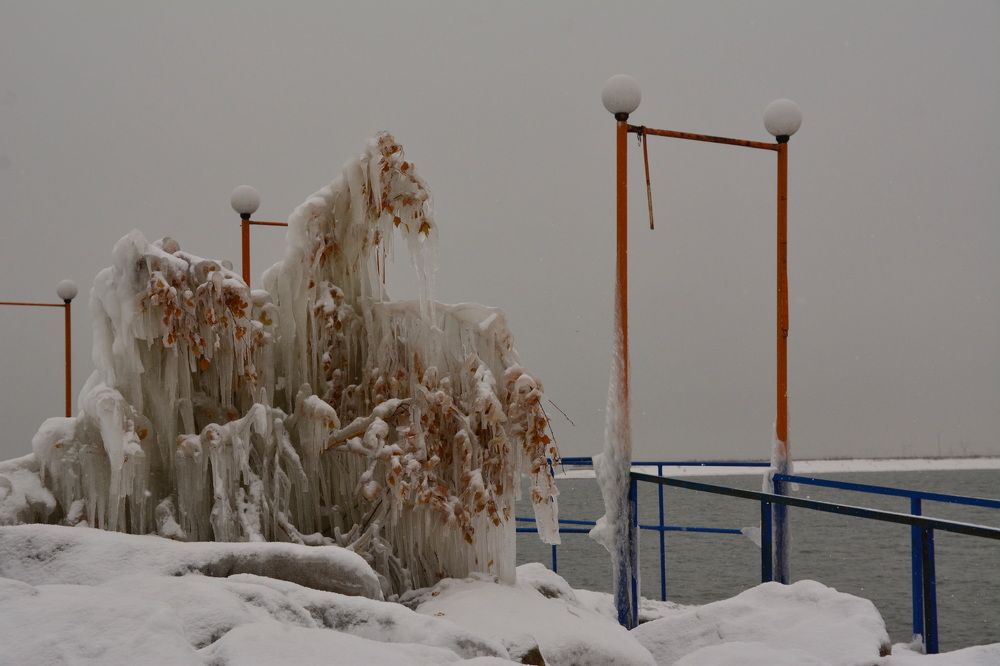 Photograph by Римма Большакова