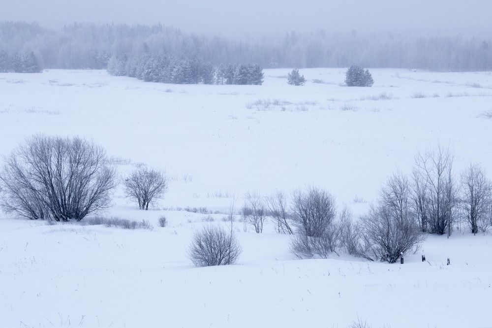 Photograph by Елена Хорохорина