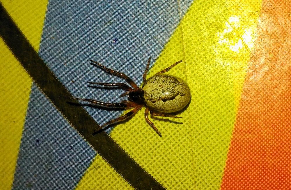 Photograph by Tanmay Karmakar