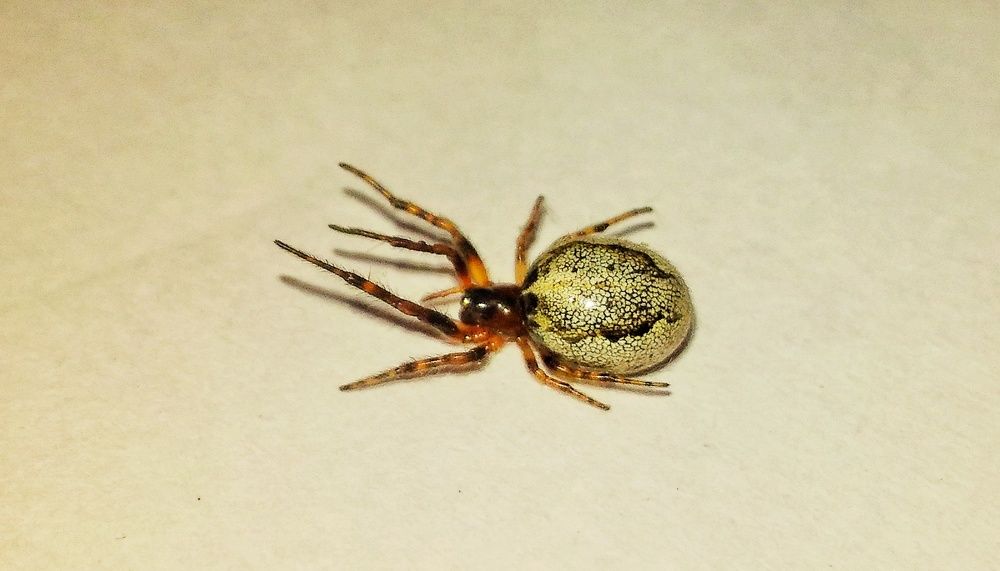 Photograph by Tanmay Karmakar