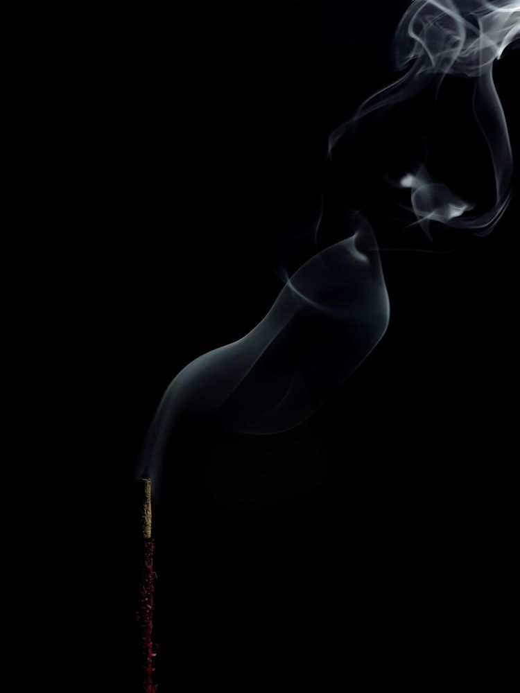 Photograph by Tanmay Karmakar