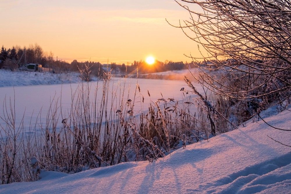 Фотография автора Наталья Липовская