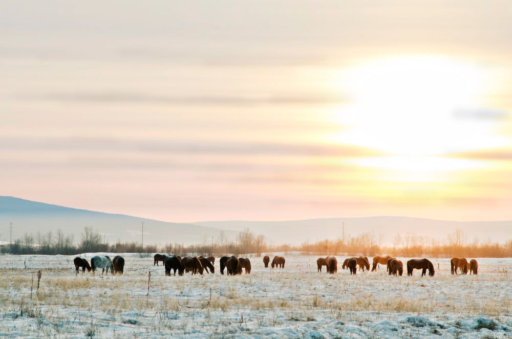 Photograph by Дмитрий Зуев