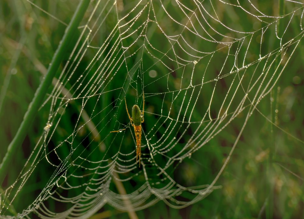 Photograph by Ринат Файзуллин