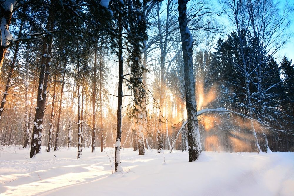 Photograph by Римма Большакова