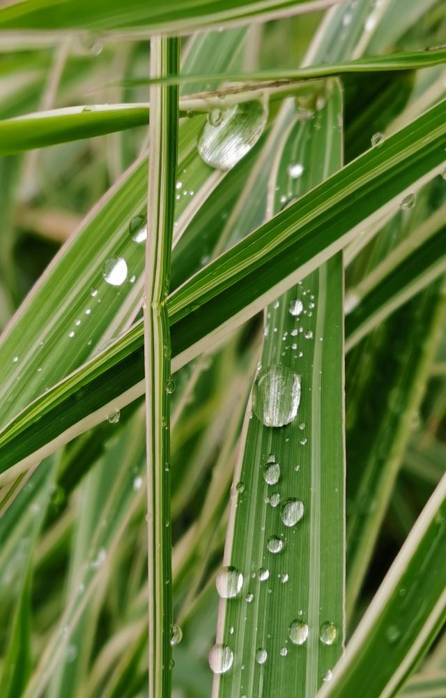 Photograph by Наталья Круглова