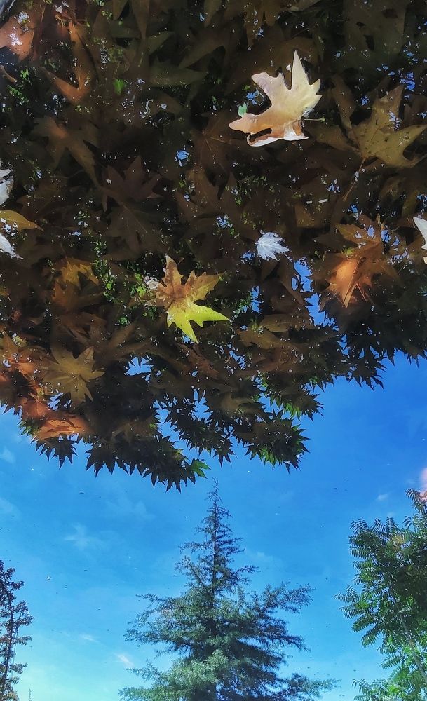 Photograph by Ehsan Fathi