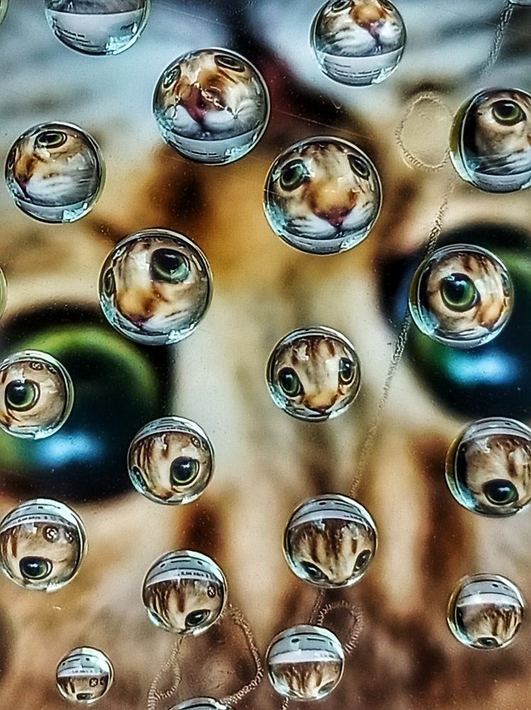 Фотография автора Марина