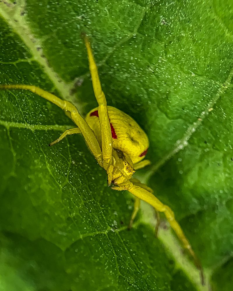 Photograph by Татьяна Гринько