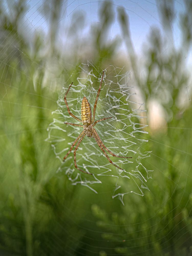 Photograph by Татьяна Гринько