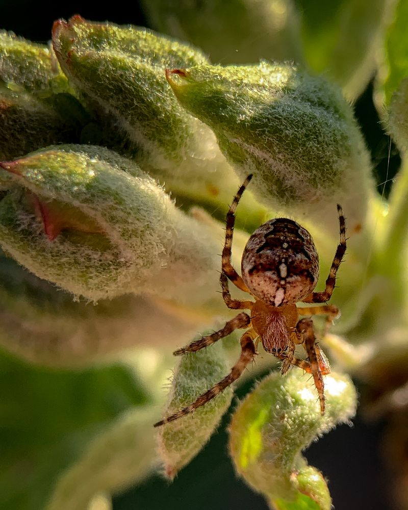 Photograph by Татьяна Гринько