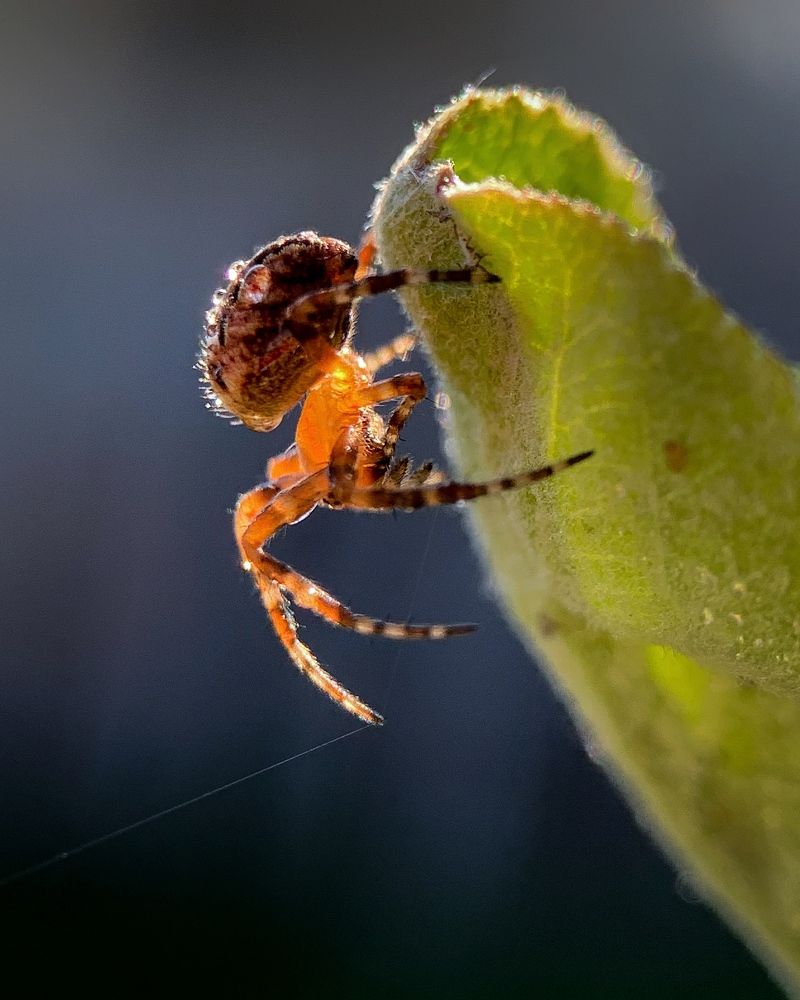 Photograph by T.Ю. Гринько