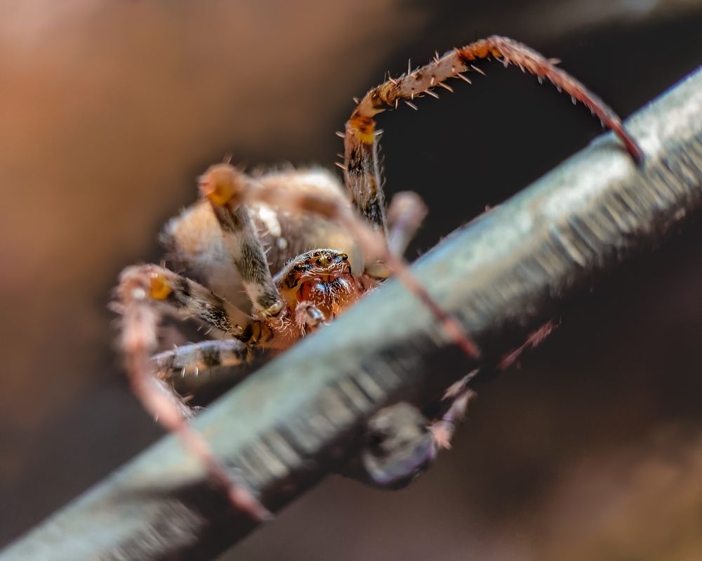 Photograph by T.Ю. Гринько