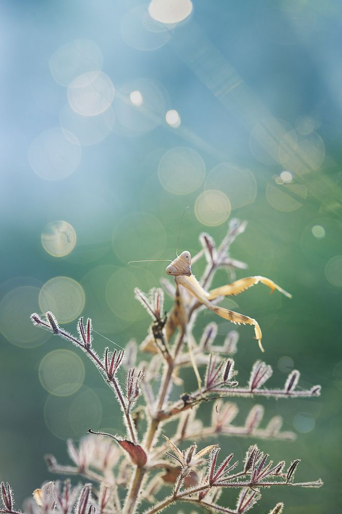 Photograph by Hemraj Chavhan A