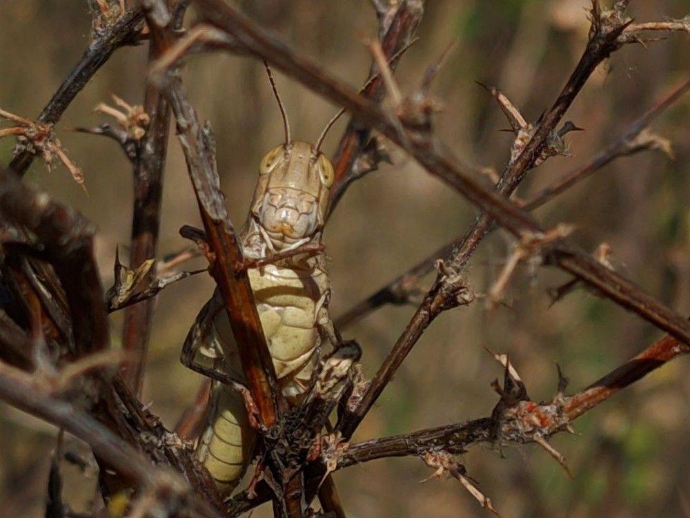 Photograph by Сергей Горбунов