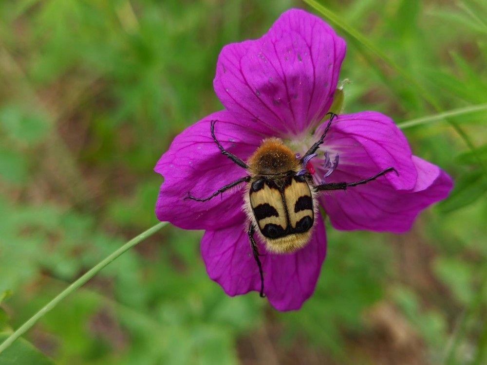Photograph by Сергей Горбунов