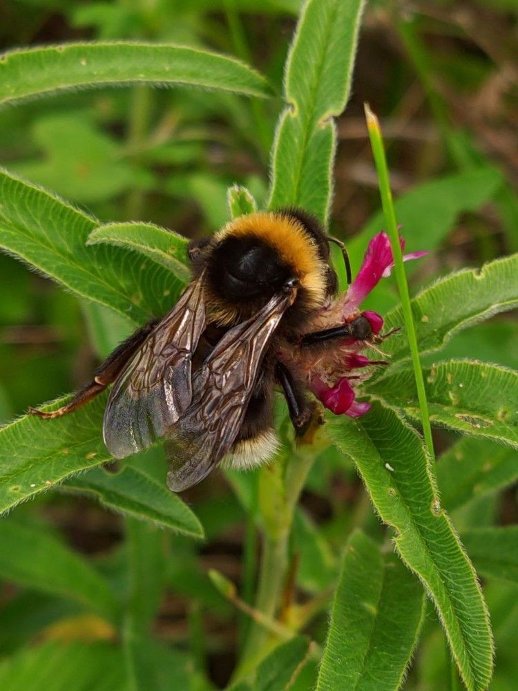 Photograph by Сергей Горбунов