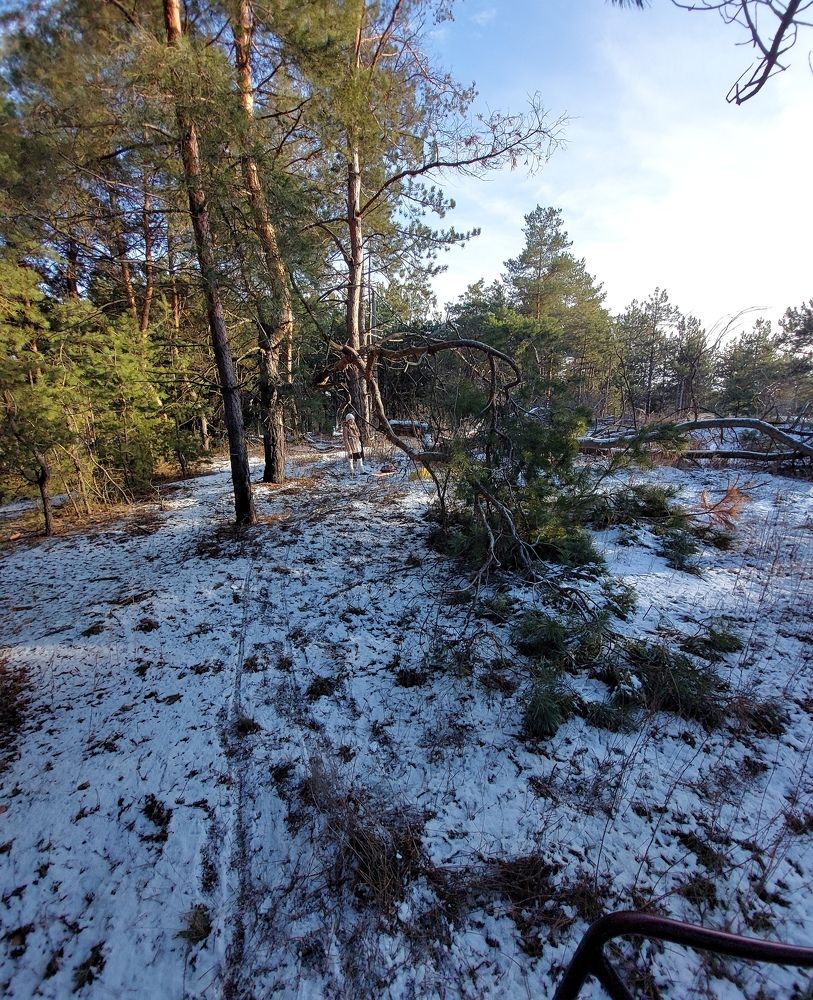 Фотография автора Marina Antonova