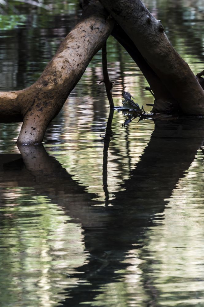 Photograph by Yamile Alfaro Picco