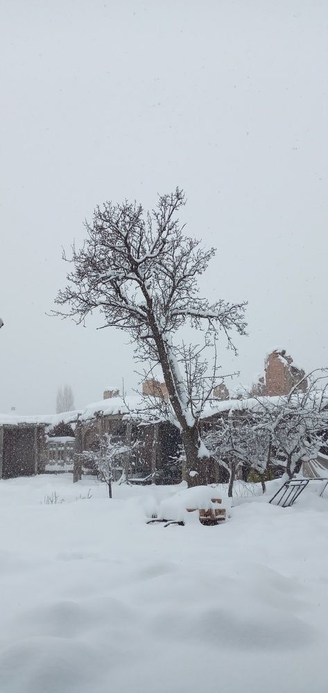 Photograph by Roghayeh Dannandeh