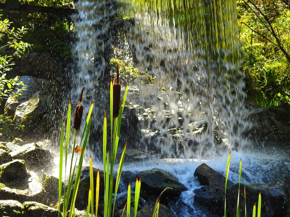 Photograph by Римма Большакова