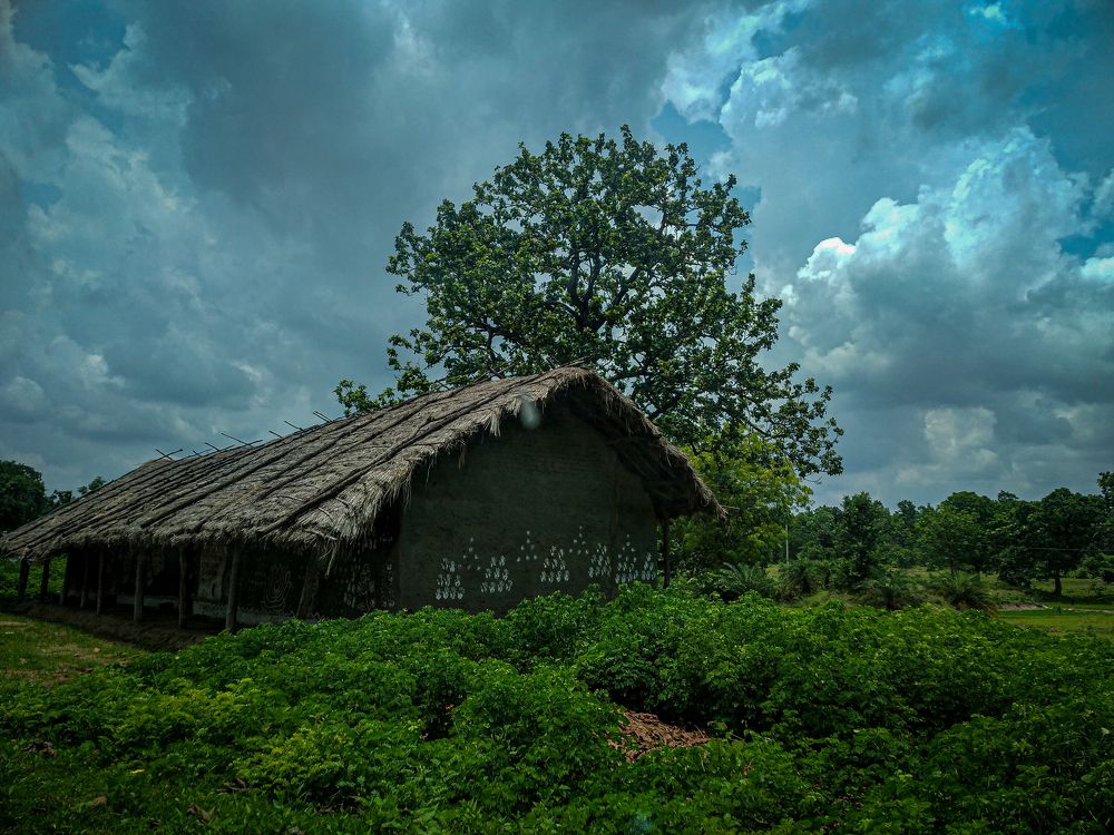 Photograph by Diptimayee Padhan