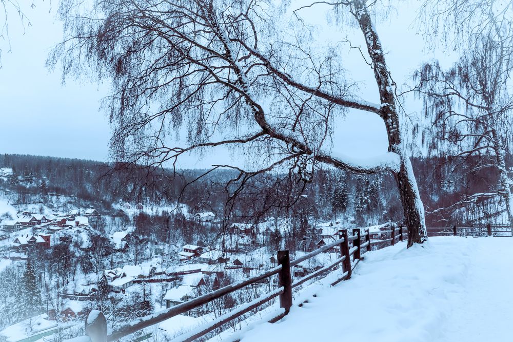 Photograph by Дмитрий Фадеев