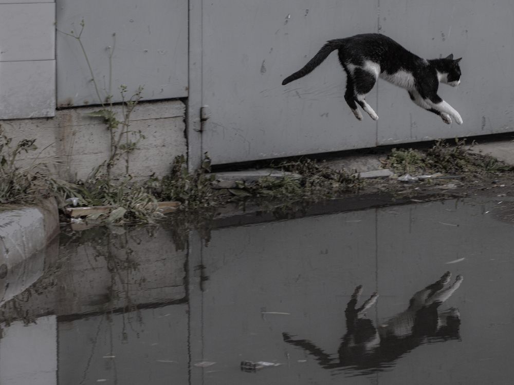 Photograph by Josef Poslavski