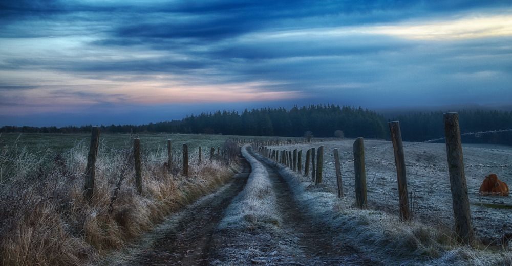 Photograph by Guy Krier