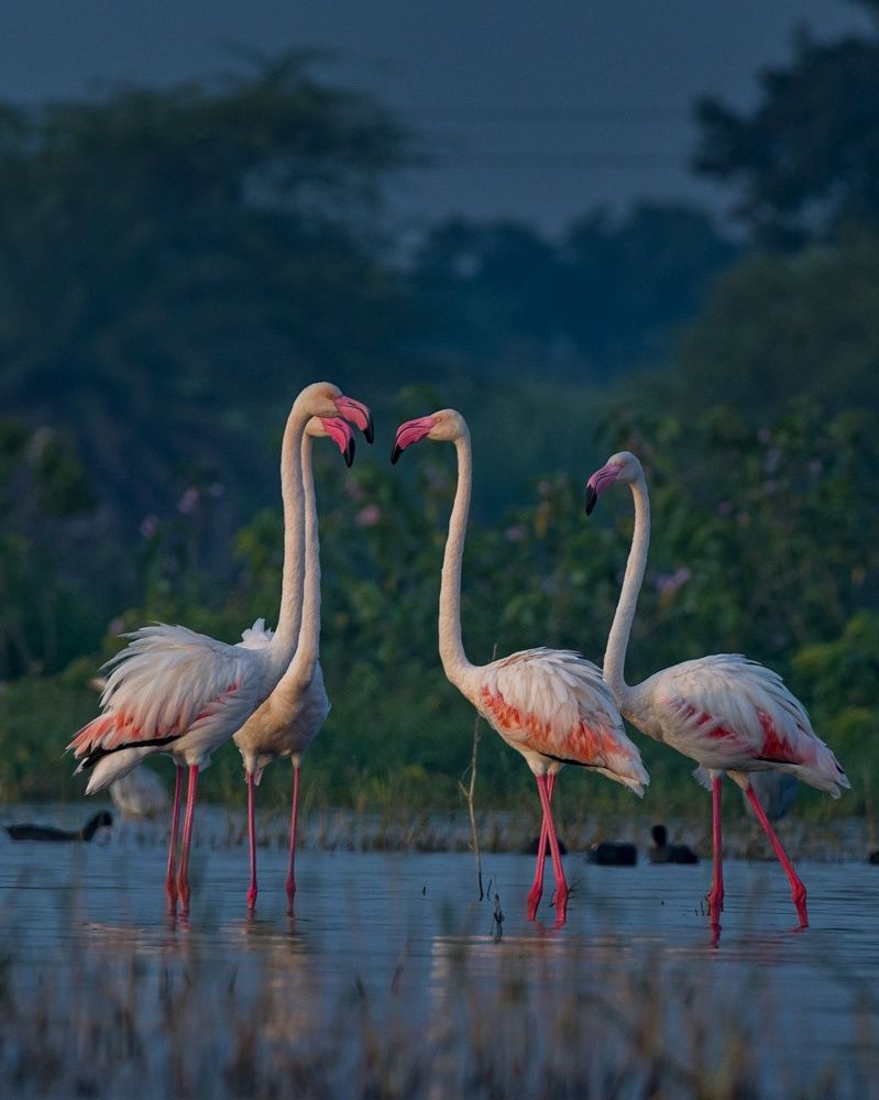 Photograph by Prajwal Gaikwad