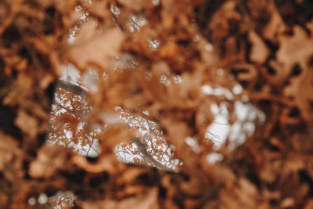 Photograph by Анастасия Ивахнова