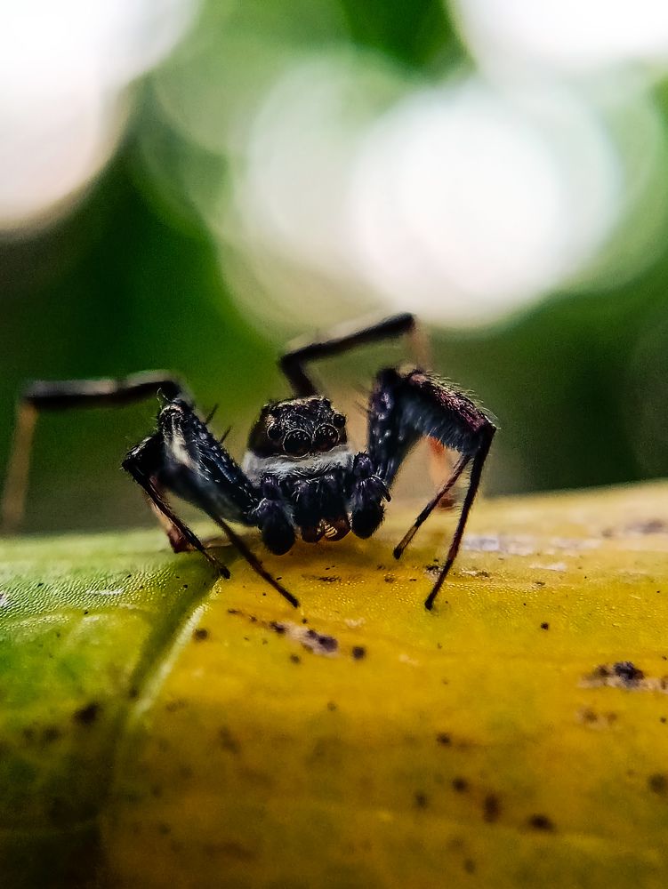 Photograph by Govind Viswanath
