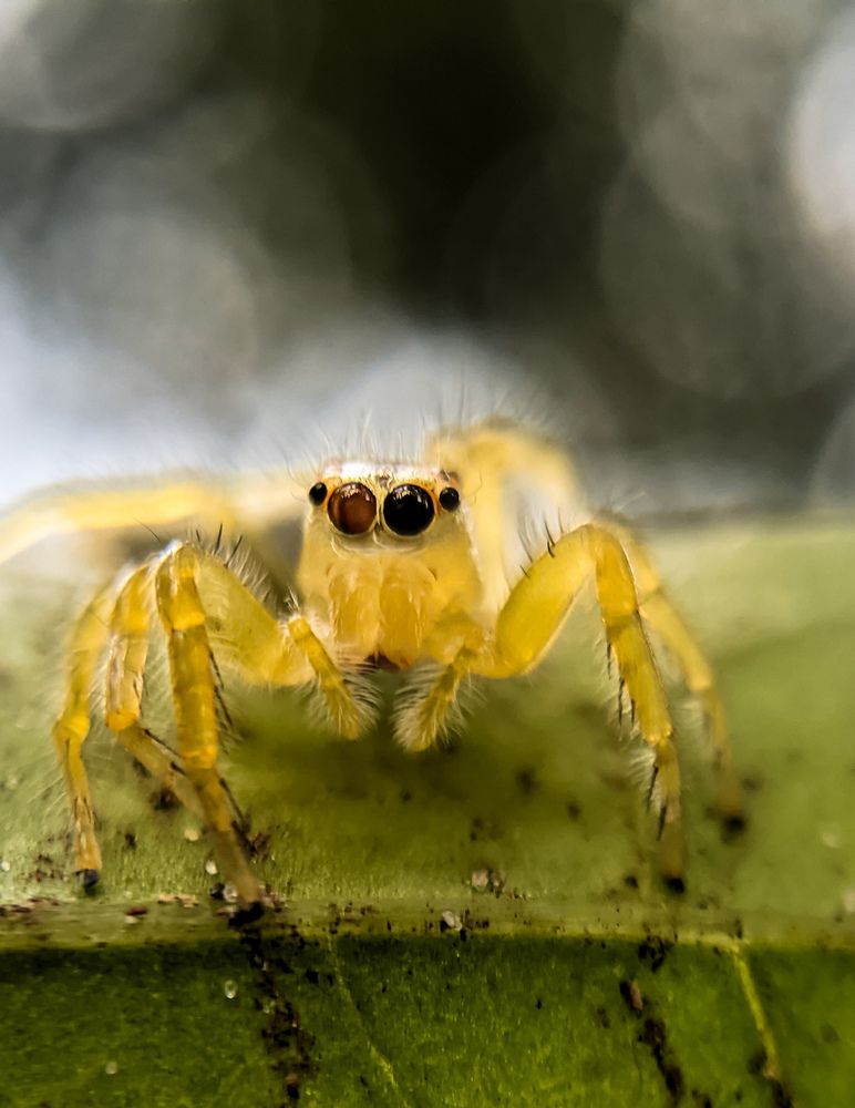 Photograph by Govind Viswanath
