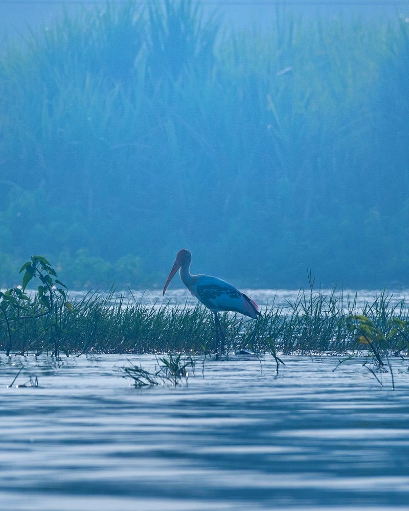 Photograph by Prajwal Gaikwad