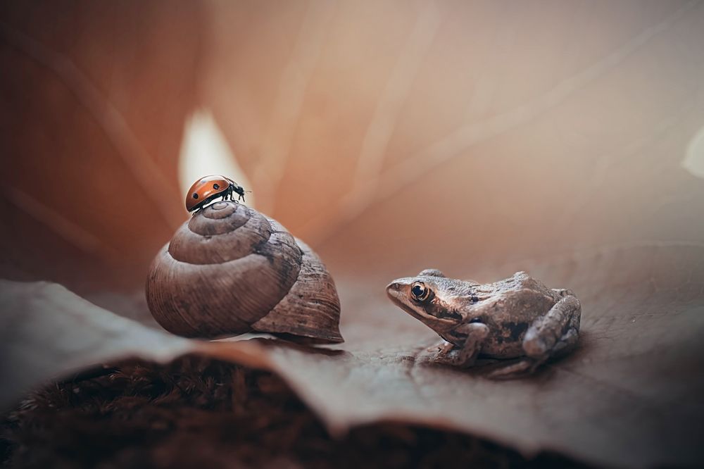 Photograph by Лапшина Владлена