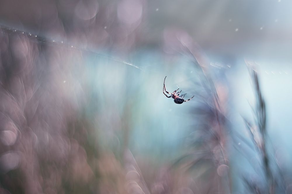 Photograph by Лапшина Владлена