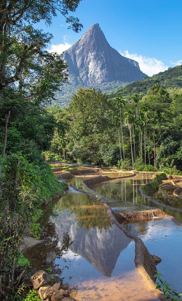 Фотография автора Sasindu Pramuditha