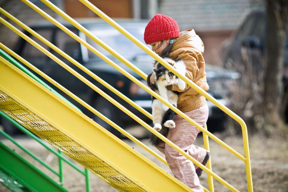 Photograph by Владимир Иванович