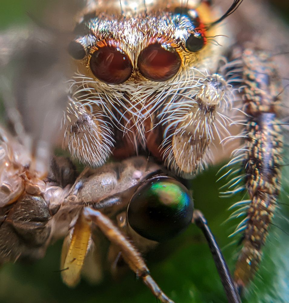 Photograph by Ajeesh A