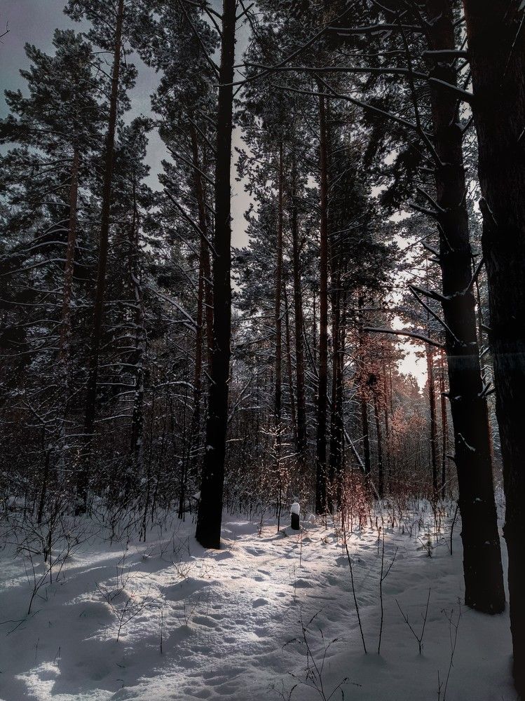 Photograph by Елена Бохолдина