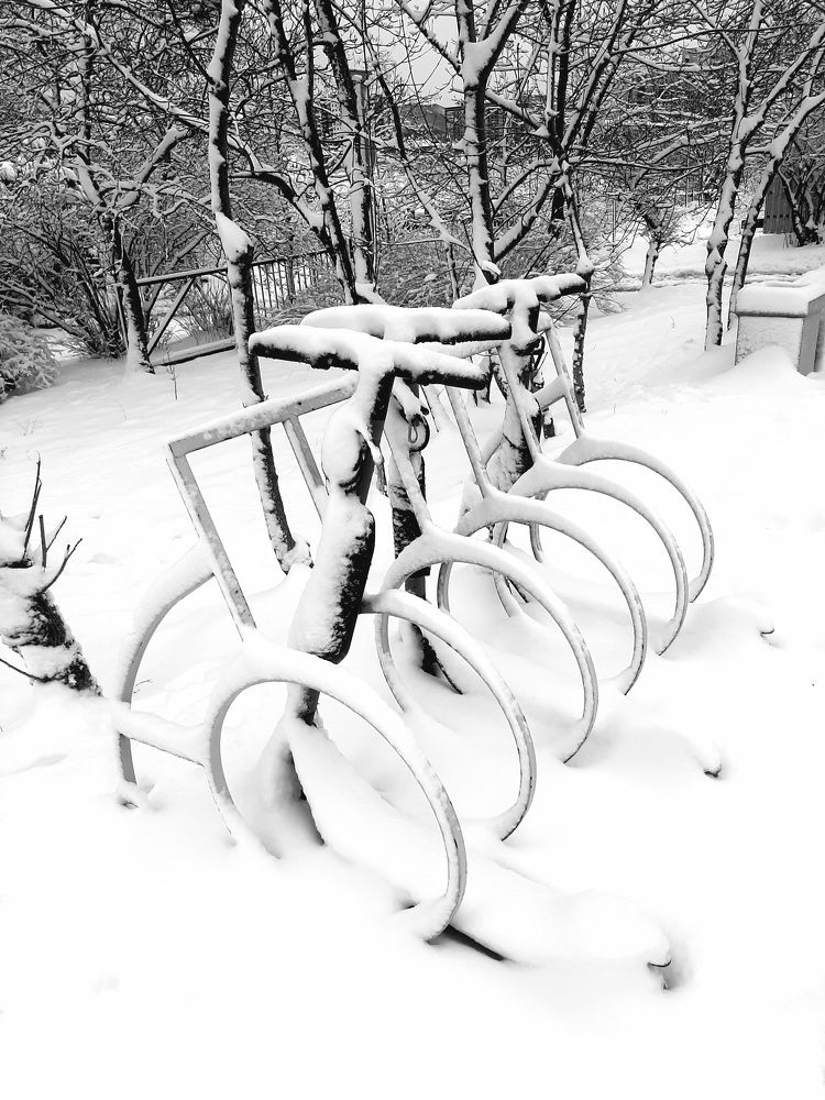 Первый снег