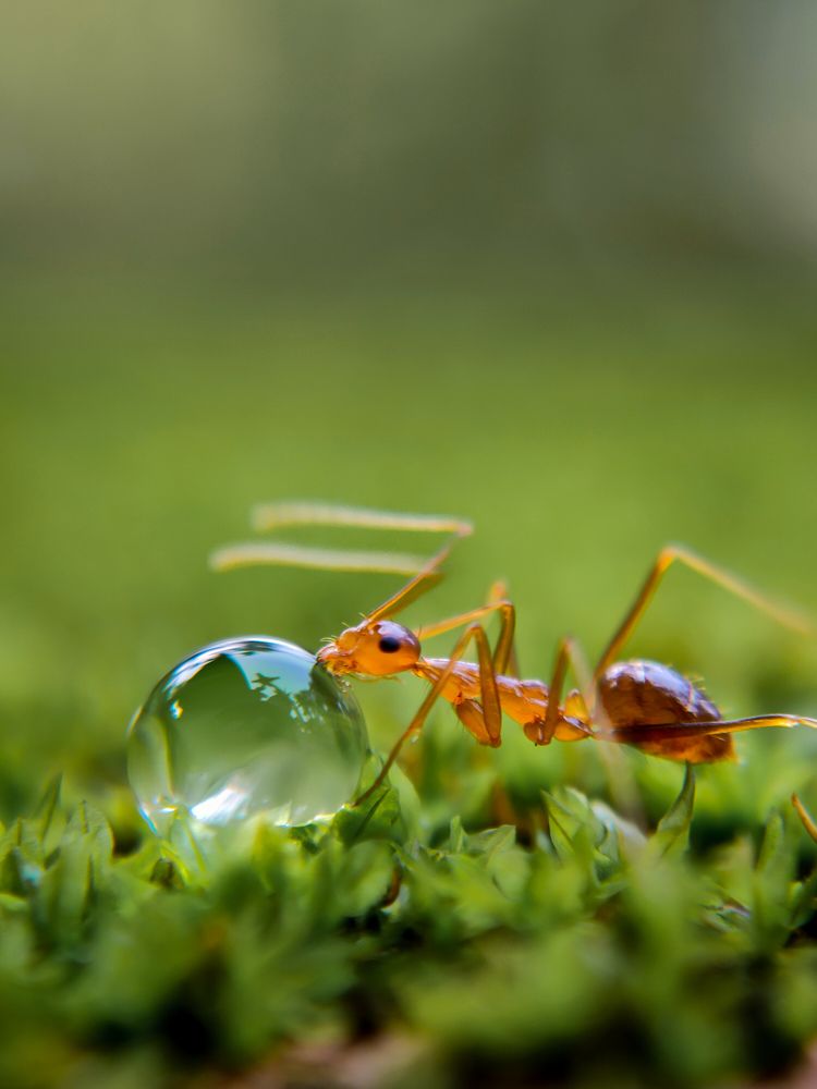 Photograph by Ajeesh A