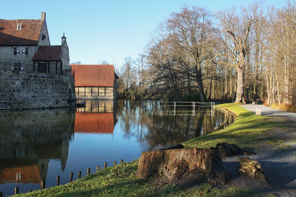 Photograph by Ольга Литвинцева