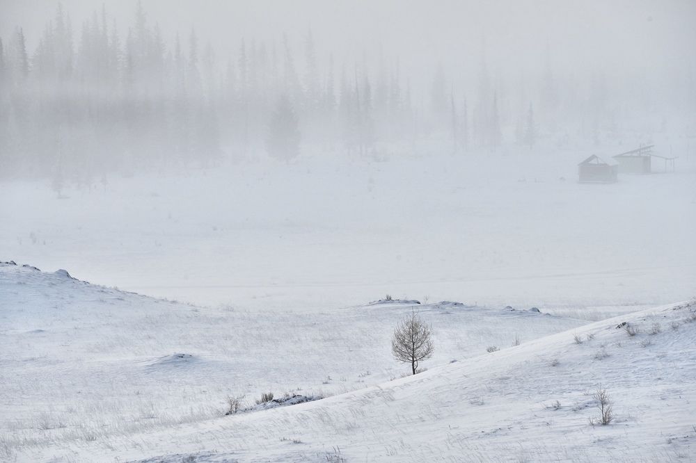 Photograph by Андрей Кузнецов